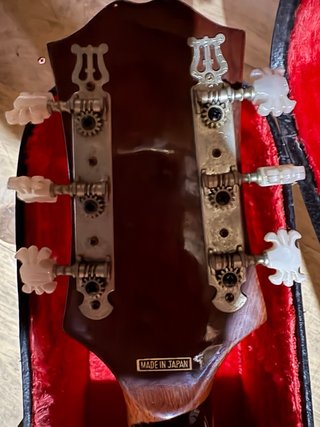 Guitarra Kiso Suzuki WE-150