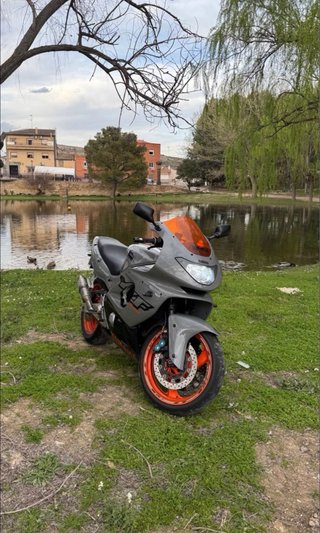 Yamaha YZF 600 Thundercat A2