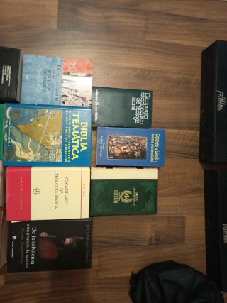 Lote n 9 libros bíblicos