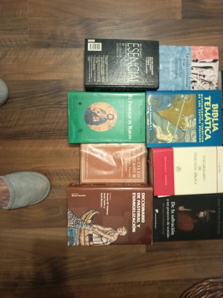 Lote n 9 libros bíblicos