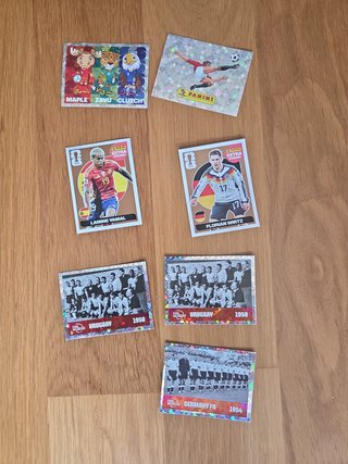 Cromo Panini Mundial