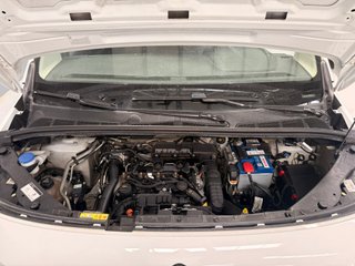Citroen Berlingo 1.5 HDI 100CV  2022 CON IVA