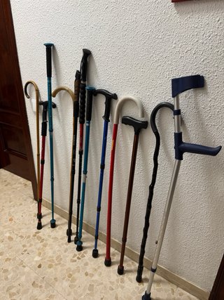 Lote de bastones y muleta