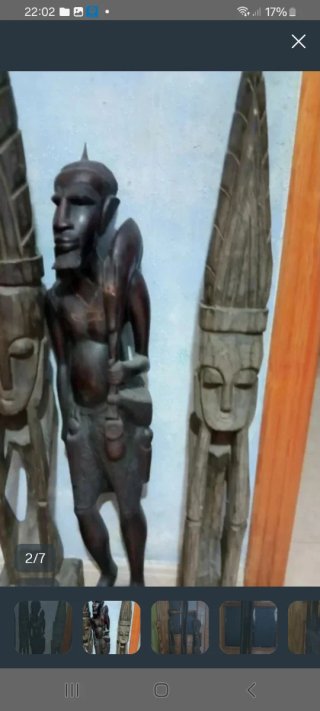 Lote de figuras Erica
