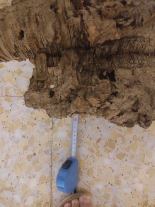 Corteza de corcho natural