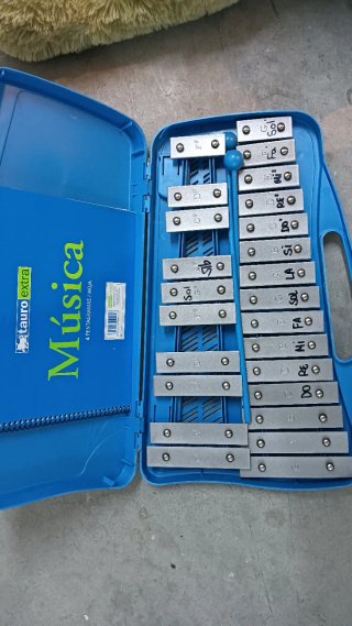 Carillón  Musical Infantil con Estuche Azul