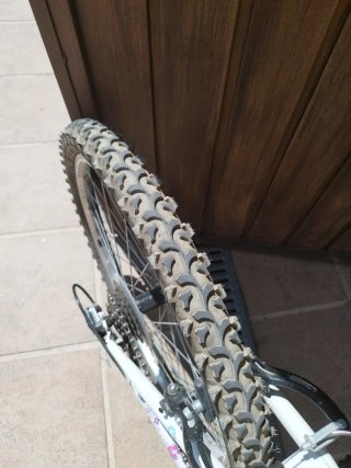 Bicicleta niña 24 9-12 años