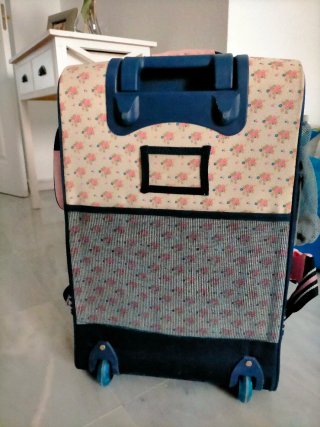 Maleta de viaje infantil rosa