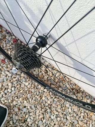 Ruedas Campagnolo Eurus G3