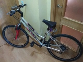 Bicicleta de montaña plateada