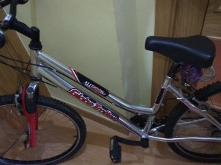 Bicicleta de montaña plateada