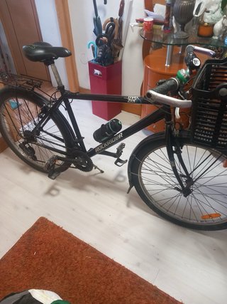 Bicicleta con cesta delantera