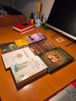 Lote 6 Libros de Novela y Literatura