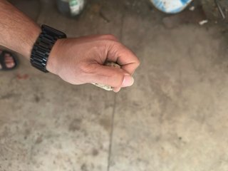 6 presas de escalada con agujero