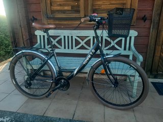 Bicicleta Paseo con Cesta