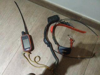 Garmin Alpha 100 + 2 Collares T5