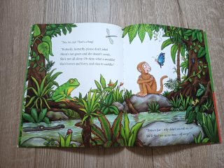 Monkey Puzzle Book and CD Pack