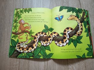 Monkey Puzzle Book and CD Pack