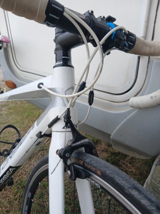 Bicicleta Orbea Avant Carretera Mujer