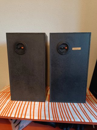 Altavoces Bafles Cajas Technics SB-3110A 55 watts