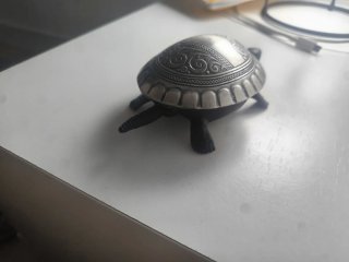 Timbre de tortuga decorativo