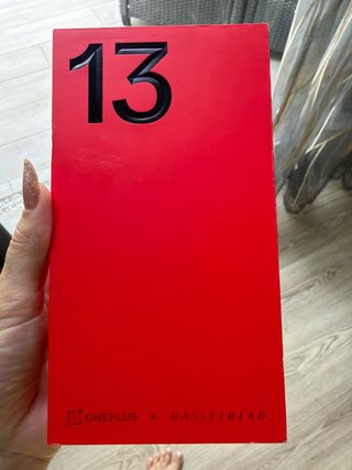 OnePlus 13
