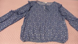 Blusa Sfera azul y blanca estampada