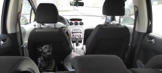 Peugeot 308 2007