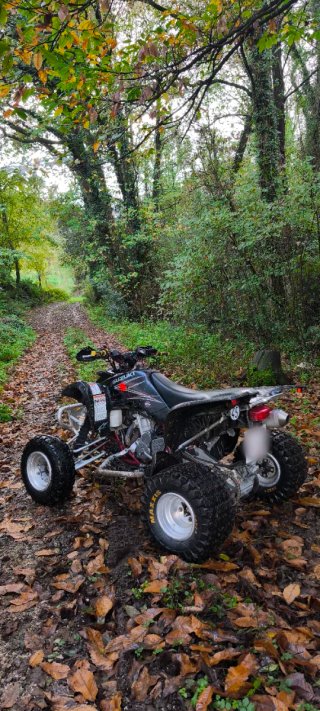 Suzuki LTZ 400
