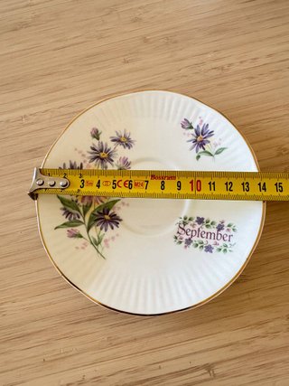 Taza y plato Springfield Bone China