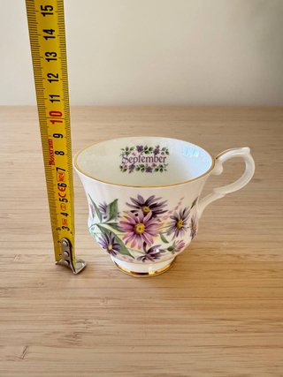 Taza y plato Springfield Bone China