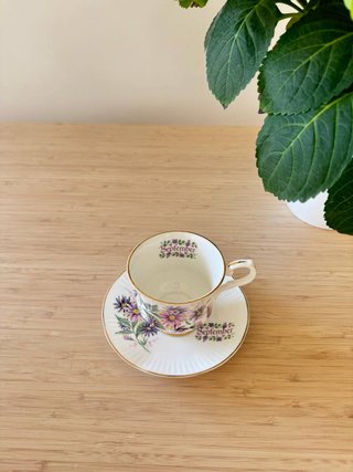 Taza y plato Springfield Bone China