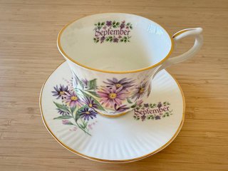 Taza y plato Springfield Bone China