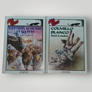 Lote 2 Libros Juveniles: Verne y London