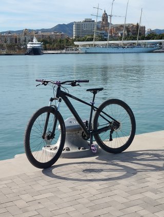 Bicicleta Orbea Stunt 29"