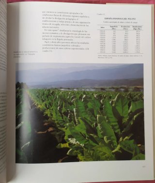 Una historia del tabaco en España