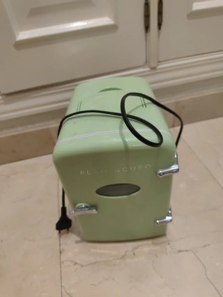 Mini Nevera FLAMINGUEO Verde