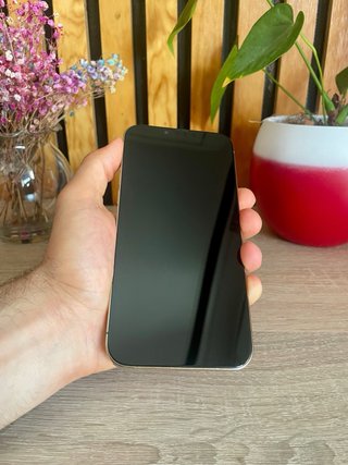 iPhone 13 Pro Max 256GB Oro