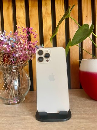 iPhone 13 Pro Max 256GB Oro