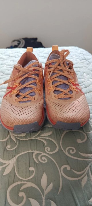 Nike Trail Running Zapatillas Naranja Rosa