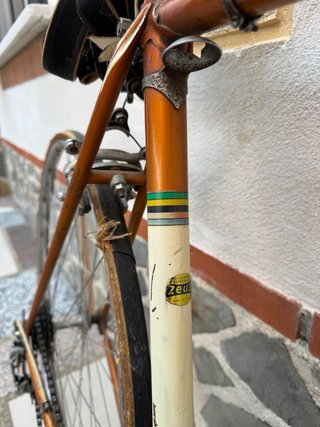 Bici Zeus Carretera Antigua