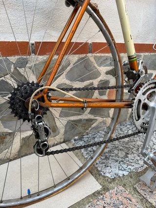 Bici Zeus Carretera Antigua