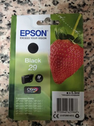 Cartucho Tinta Epson 29 Negro