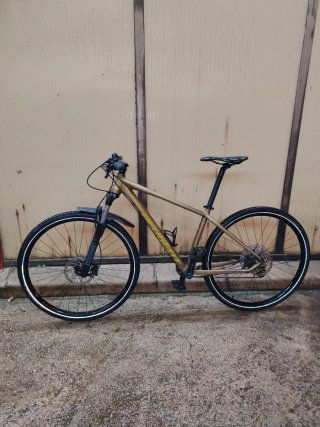 Bicicleta de Montaña