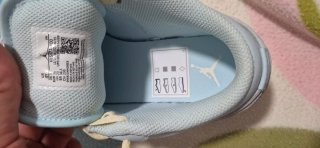 Nike Jordan 1 Low Azul y Blanco