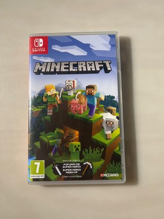 Minecraft Nintendo Switch