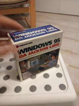Windows 95 16 cd della Jackson Libri