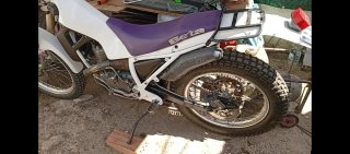 Beta synt alp 260