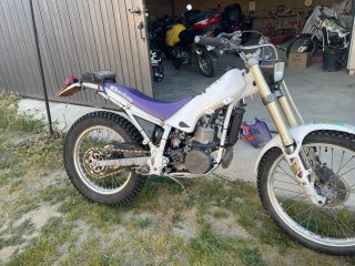 Beta synt alp 260