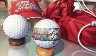 Golf. Set de hierros y wedges. Set de palos.
